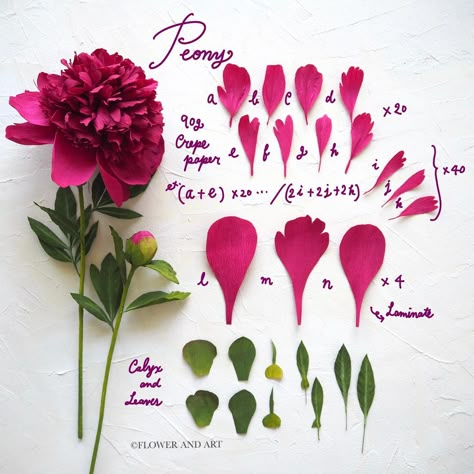 Paper Flowers With Name, Paper Projects Diy, Paper Peony, Project Paper, Wafer Paper Flowers, Paper Flower Art, Red Charm, Flower Decorations Diy, Paper Peonies