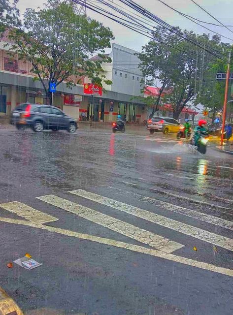 Pap kehujanan di jalan, kehujanan, berteduh kehujanan, hujan-hujan, hujan-hujanan, otw, pap lokasi, sepeda motor, naik motor, malming, malam minggu, jalan malam Naik Motor, Ikan Koi, Sepeda Motor, Koi, Quick Saves