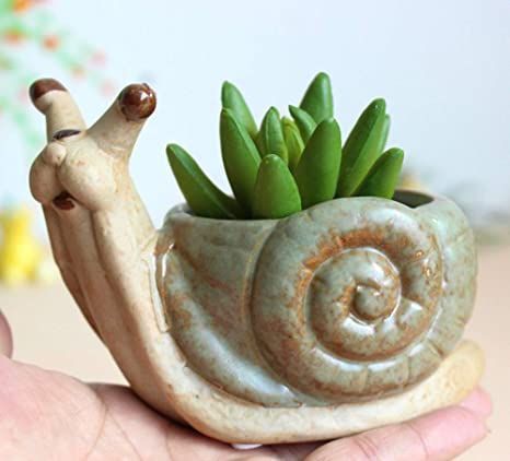 Snail Pottery, Snail Planter, Ceramic Snail, Face Plant Pot, Cactus Pot, Cement Planters, Ceramic Boxes, Ceramic Flower Pots, Pottery Crafts