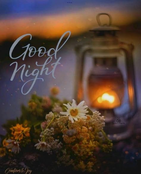 Afternoon Messages, Good Night Qoutes, Good Night Cards, Cute Images For Wallpaper, Beautiful Good Night Quotes, Dinosaur Birthday Cakes, Good Evening Greetings, Evening Greetings, Cute Good Night