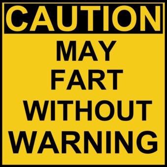 Funny Fart Quotes, Fart Quotes, Xmas Tattoo, Retirement Party Sign, Funny Warning Signs, Fart Humor, Without Warning, Let It Rip, Funny Animal Jokes