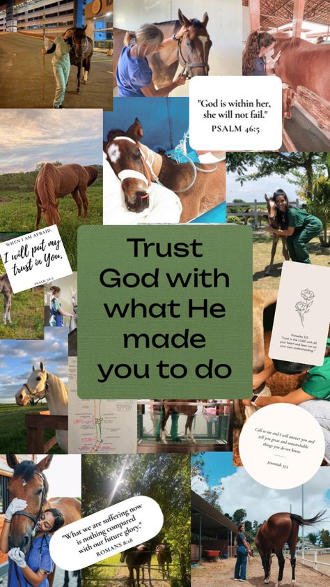 Equine Vet #horses#vet#equinevet#vetmed#veterinarian #veterinarymedicine#aesthetic#christian Equine Vet Tech, Vet Aesthetic, Vet School Motivation, Equine Vet, Vet Tech School, Equine Veterinarian, Equine Veterinary, Horse Riding Aesthetic, Large Animal Vet