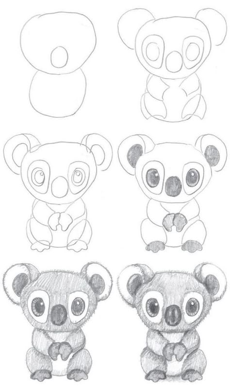 How to draw a koala toy 
#draw... - Sha5beet portraits How To Draw Zoo Animals, Draw A Koala, Ear Shapes, Koala Drawing, Leg Shapes, Easy Animal Drawings, Flower Art Drawing, Cool Pencil Drawings, Easy Doodle Art