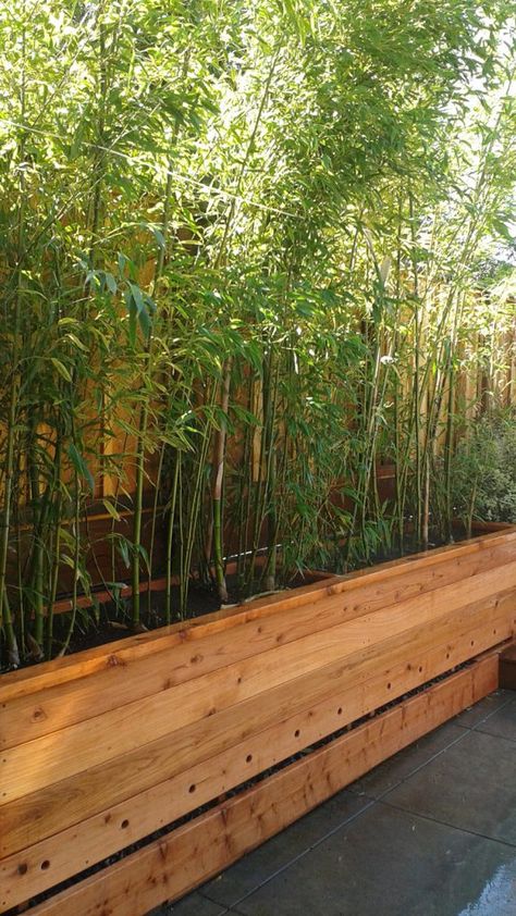 custom-redwood-planter-box - Bamboo Sourcery Nursery & Gardens Bamboo Small Garden, Japanese Planter Boxes, Indoor Planter Box Ideas, Redwood Planter Boxes, Bamboo Landscape, Planter Box Plans, Bamboo Planter, Diy Planter Box, Wooden Planter Boxes