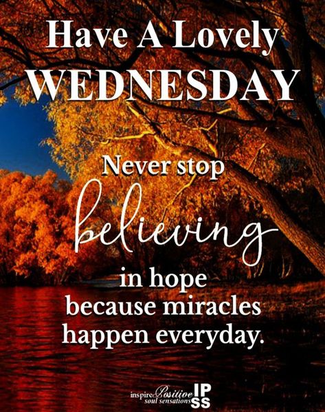 Blessed Wednesday Morning, Wednesday Pictures, Quotes Wednesday, Wednesday Morning Quotes, Wednesday Greetings, Good Morning Wishes Friends, Never Stop Believing, Inspirational Good Morning Messages, Good Morning Happy Saturday