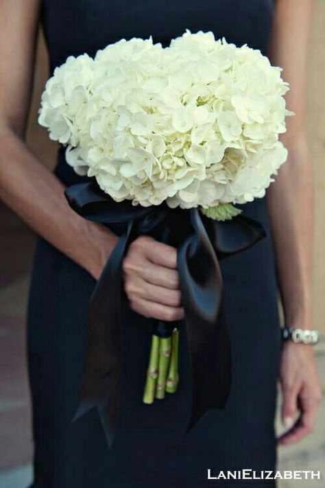 White Hydrangea Wedding Bouquet Hand Tied With Black Satin Ribbon Hydrangea Bridesmaid, Wedding Bouquets Bridesmaids, Hydrangea Bridesmaid Bouquet, White Hydrangea Bouquet, Bouquets Bridesmaids, Hydrangea Bouquet Wedding, Hydrangea Bouquet, Hydrangeas Wedding, White Wedding Bouquets