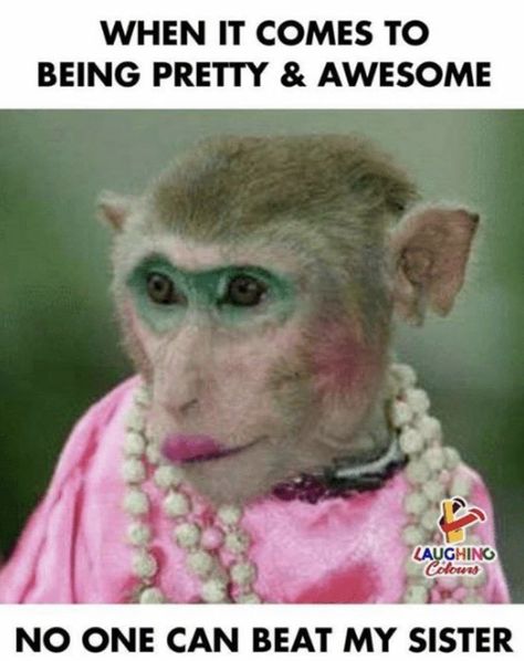 When it comes to being pretty and awesome - no one can beat my sister meme Monkey With Makeup, Happy Birthday Mom Meme, Funny Sister Memes, Happy Birthday Sister Funny, Sister Meme, Happy Birthday Little Sister, Laughing Colors, Funny Happy Birthday Meme, Sibling Memes