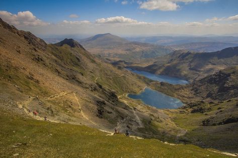 What I Learned By Climbing Mount Snowdon with My Dog - Dogs Today Magazine Snowdonia, Getting Up Early, North Wales, Days Out, Four Legged, My Dog, Fresh Air, Outdoors Adventure, Trekking