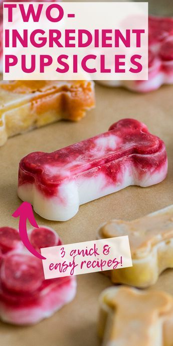 Baking Mischief, Foods Dogs Can Eat, Pet Treats Recipes, Dog Treats Homemade Easy, Easy Dog Treat Recipes, Frozen Dog Treats, Dog Biscuit Recipes, Easy Dog Treats, Healthy Dog Treats Homemade