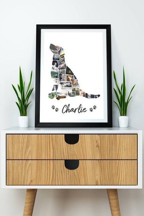 Pet Memorial Ideas Dogs, Dog Shadow Box, Frame Gift, Dog Crafts, Dog Photo, Personalized Photo Gifts, Photo Gift, Dog Decor, Dog Memorial