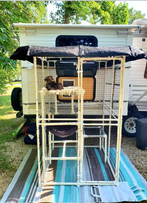 Camper Cat Catio, Diy Rv Catio, Camper Catio Ideas, Camper Catio, Rv Catio Ideas, Rv Cat Enclosure, Cat Enclosure Indoor, Camper Cat, Rv Cat