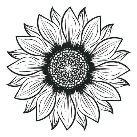 Sunflower Line Art, Sunflower Outline, Floral Line Drawing, Line Art Floral, Drawing Black And White, White Sunflowers, Drawing Black, Tree Saw, The Sunflower