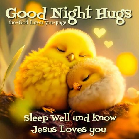 Good Night Grandson, Good Night My Dear Friend, Good Night My Dear, Picture Sayings, Goodnight Images, Evening Blessings, Parent Quotes, Friend Love Quotes, Evening Quotes