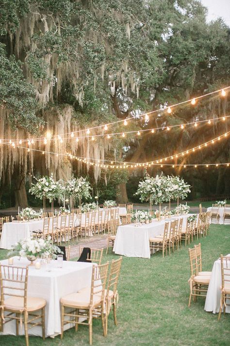 Backyard Reception, Dream Wedding Venues, Outdoor Wedding Reception, Future Wedding Plans, Outdoor Wedding Decorations, Garden Party Wedding, Outside Wedding, Wedding Cake Designs, Wedding Mood