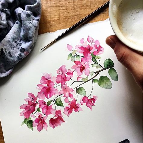 Bougainvillea Painting Watercolors, Watercolour Bougainvillea, Saudi Embroidery, Bougainvillea Tattoo, Bougainvillea Painting, Bougainvillea Watercolor, Watercolor Flower Painting, Beautiful Dawn, Canvas Art Painting Acrylic