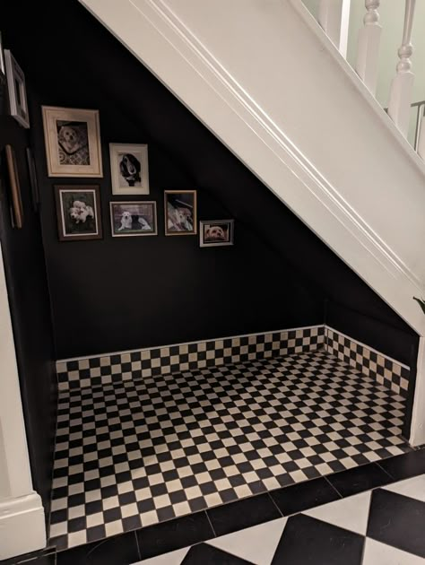 Under Stairs Small Space, Under Stairs Ideas Dog, Open Under Stairs, Dog Nook Ideas Under Stairs, Understairs Dog Room, Dog Cave Under Stairs, Tall Hallway Ideas Stairs, Dog Under The Stairs Room, Dog Nook Under Stairs