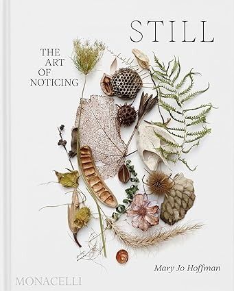 Amazon.com: STILL: The Art of Noticing: 9781580936330: Hoffman, Mary Jo: Books Mary Jo Hoffman, The Art Of Noticing, Art Of Noticing, Nature Collage, Illustration Botanique, Annie Leibovitz, Nature Collection, Cabinet Of Curiosities, Nature Journal