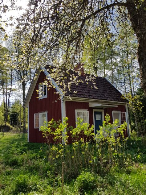 Nordic House Interior, Swedish Cabin, Swedish Homes, Lake Cabin Decor, Red Houses, Swedish Cottage, Small Cottages, Red Cottage, Swedish House