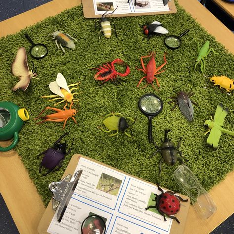 Mini Beast Activities Eyfs, Mini Beasts Activities, Mini Beasts Eyfs, Nursery Display Boards, Minibeasts Eyfs, Minibeasts Activities, Toys Topic, Eyfs Outdoor Area, Garden Unit