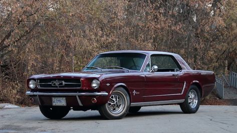 1965 Ford Mustang Coupe, 70s Mustang, 1996 Mustang, 65 Ford Mustang, Ford Mustang 1965, Red Mustang, 60s Cars, 1968 Mustang, 1967 Ford Mustang