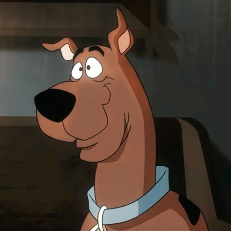 scooby doo. scooby doo icon. Scooby Doo Pfp Aesthetic, Scooby Doo Widget, Scooby Doo Pfp, Shaggy From Scooby Doo, Scooby Doo Scooby, Shaggy Scooby Doo, Scooby Doo Pictures, Fred Jones, Scooby Doo Mystery Incorporated