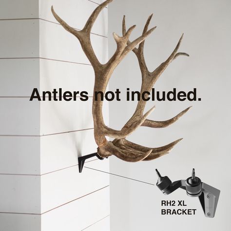 "BLEMISHED PRODUCT - THE BRACKET HAS MINOR SURFACE DEFECTS SHOWN ON THE UNDERSIDE OF THE PRODUCT. PRODUCT IS 100% FUNTIONAL AND WORKS GREAT AND AS IT SHOULD! IT'S PURELY DISCOUNTED BECAUSE OF THE SURFACE FINISH ON THE BRACKETS UNDERSIDE. (ANTLERS NOT INCLUDED) Original Price is $145 MOUNT MOOSE, ELK, OR RED STAG ANTLERS WITH EASE! DIY TAXIDERMY Designed for a pair of BIG GAME antlers, the patent pending RH2 XL is manufactured from high-strength aluminum that has been anodized in a matte black fi Elk Decor Ideas, Elk Antlers Decor, Antler Mounting Ideas, Moose Antler Mount, Deer Antler Display Ideas, Elk Mount Ideas, Elk Antler Decor Ideas, Elk Horn Decor Ideas, European Mount Decor