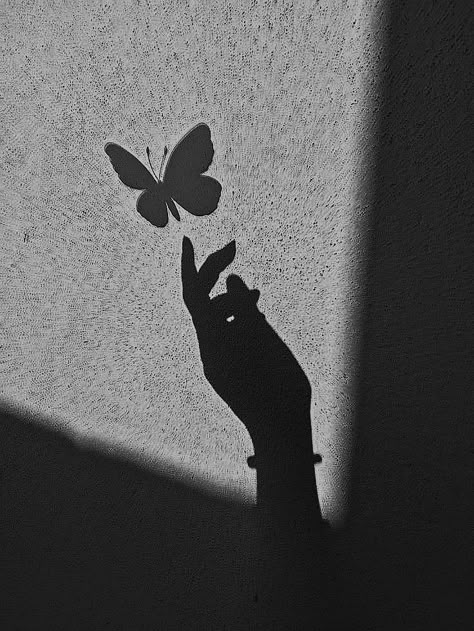 Black Butterfly Profile Picture, Butterfly Profile Picture, Black Aesthetic Moodboard, Black Butterflies Aesthetic, Purple Glitter Wallpaper, Butterfly Shadow, Love Profile Picture, Asthetic Picture White And Black, Soul Reaper