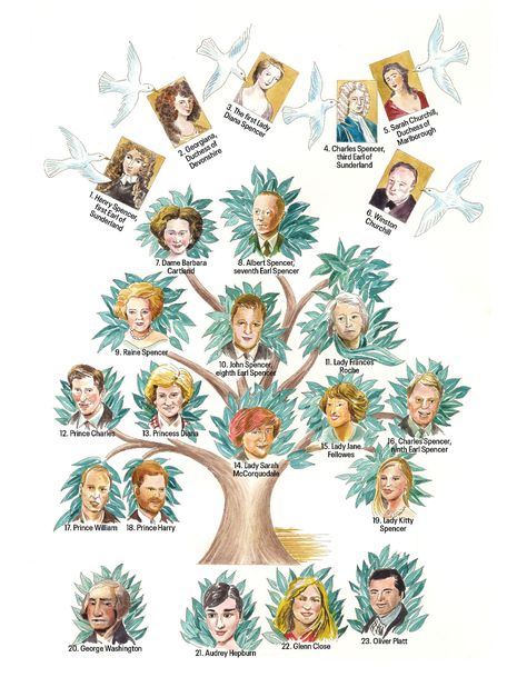 spencer family tree Princess Diana Family Tree, Spencer Family Tree, Lady Sarah Mccorquodale, Lady Kitty Spencer, King George Ii, Kitty Spencer, Lady Kitty, John Spencer, Spencer Family