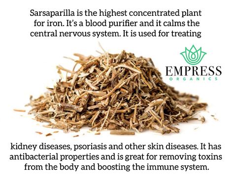 Benefits Of Sarsaparilla, Sasparilla Root Tea Benefits, Blood Purifying Herbs, Sarsaparilla Root Benefits, Sarsaparilla Benefits, Dr Sebi Alkaline Food, Medical Herbs, Food Health Benefits, Medicinal Herbs Garden