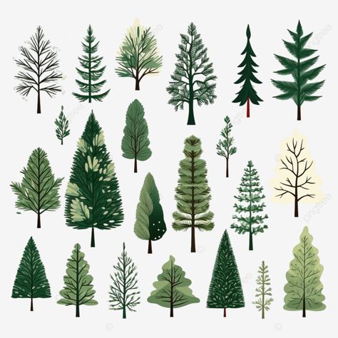 christmas trees in flat style isolated pine spruce fir vector illustration nature forest set png Forest Tree Illustration, Forest Trees Illustration, Winter Trees Illustration, Simple Forest Illustration, Pine Trees Illustration, Forests Drawings, Christmas Trees Illustration, Cute Christmas Tree Illustration, Maple Tree Illustration