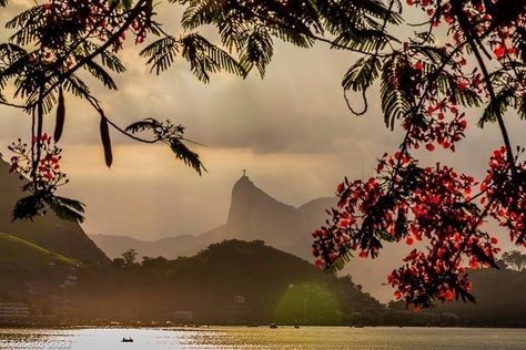 Fotografi Vintage, Summer Dream, Nature Aesthetic, Pretty Places, Summer Aesthetic, Pretty Pictures, Mother Nature, Rio De Janeiro, Dream Life