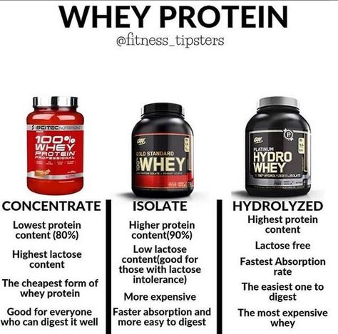 Whey protein kinds and benefits Whey Protein Benefits, Best Protein Supplement, Best Whey Protein Powder, Healthy High Protein Breakfast, Protein Benefits, Protein Powder For Women, Best Bodybuilding Supplements, Best Whey Protein, Gym Supplements