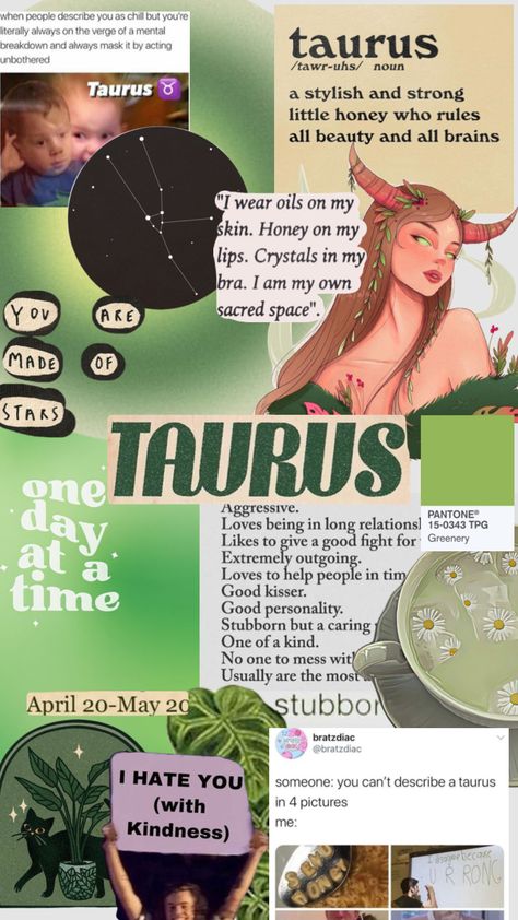 #taurus #taurusaesthetic #zodiacsigns Taurus Fashion, Taurus Journal, Taurus Things, Good Kisser, New Money, Capricorn Moon, Zodiac Signs Taurus, Taurus Zodiac, Describe Yourself