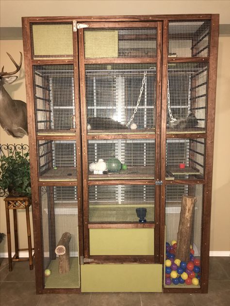 DIY Pet Raccoon cage. Monkey Cage, Rocky Raccoon, Squirrel Home, Outdoor Pet Enclosure, Marmoset Monkey, Livestock Shelter, Pet Bird Cage, Cat Patio, Pet Raccoon