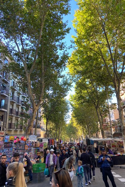 People and stands at the El Rastro market in Madrid Travel Madrid, Studying Abroad, Four Days, Flea Markets, Unique Items, Study Abroad, City Lights, Flea Market, Madrid