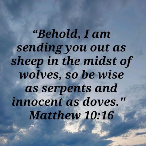 Matthew 10:34-36, Mathew 10:16, Matthew 10:16 Tattoo, Matthew 10:16, Dove Tattoo Ideas, Matthew Bible Study, Matthew Bible Quotes, Matthew 10 22, Matthew 10 16