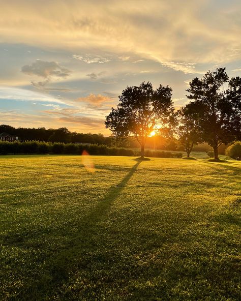 Field At Sunset, Sunrise Drawing, Gold Sunset, Western Wallpaper Iphone, Morning Sunrise, Pretty Landscapes, Countryside House, Minimalist Wallpaper, Spring Aesthetic