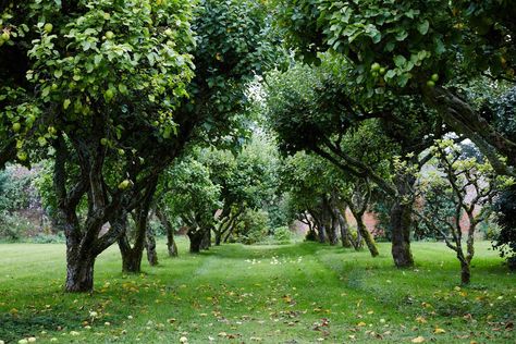 Scottish Garden, Landscape Planning, English Estate, Estate Garden, Farmhouse Garden, White Rock, Grand Homes, Natural Garden, Stately Home