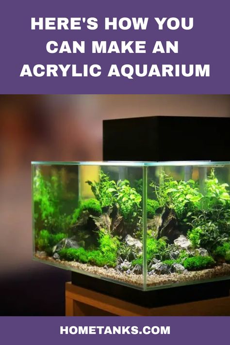 Aquariums can be made of acrylic, glass, wood, or even stone. An acrylic aquarium can be made using only a few materials. This article will help you understand the materials needed to build an acrylic aquarium. #aquariumcare #acrylicaquarium Kitchen Drawer Handles, Aquarium Glass, Acrylic Aquarium, Remove Acrylics, Glue Traps, Aquarium Stand, Tanked Aquariums, Acrylic Sheets, Aquariums