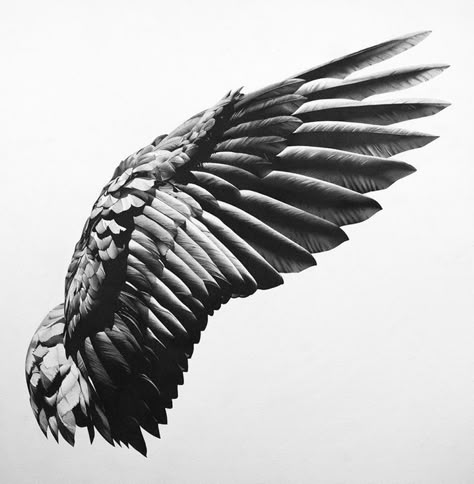 Tattoo Designs Dark, Dark Angel Tattoo, Eagle Wing Tattoos, Beginner Tattoos, Angel Wings Art, Wing Tattoo Designs, Wings Drawing, Dark Wings, Wing Tattoo