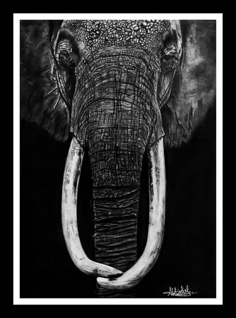 Hyper realistic sketch #sketch #potrait #elephant Elephant Sketch Realistic, Hyper Realistic Photography, Animal Face Sketch, Elephant Drawing Realistic, Hyper Realistic Sketches, Hyper Realistic Art, Hyper Realistic Drawings, Hyper Realistic Drawing, Realistic Pencil Sketch