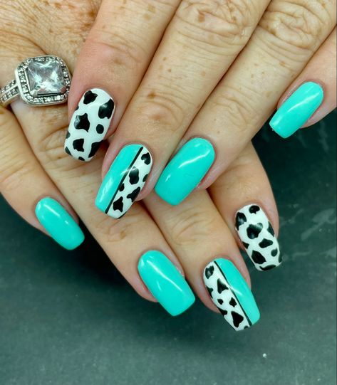 Cow Print Nails Turquoise, Blue Cow Print Nail Ideas, Western Summer Nails Acrylic, Cute Country Nails Short, Turquoise And Cow Print Nails, Western Turquoise Nails, Teal Nail Designs Turquoise, Turquoise Western Nails, Cow Print Nail Ideas