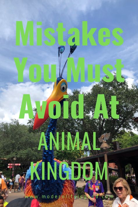 Wdw Animal Kingdom, Animal Kingdom Tips 2023, Animal Kingdom Tips And Tricks, Animal Kingdom 2023, Animal Kingdom Must Do List, Disneyworld Animal Kingdom Outfits, Disney Animal Kingdom Wallpaper, Animal Kingdom Itinerary 1 Day, Animal Kingdom Hairstyles