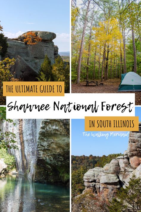 Best Hikes In Illinois, Things To Do In Southern Illinois, Shawnee Forest Illinois, Giant City State Park Illinois, Southern Illinois Travel, Shawnee National Forest Illinois, Illinois Bucket List, Garden Of The Gods Illinois, Hiking Illinois