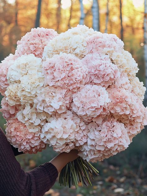 Pink Muse (@thepinkmuse) on X Pink Hydrangea Bouquet, Pink Hydrangea Wedding, Pink Reception, Pink Hydrangeas, Hydrangea Wedding, Hydrangea Arrangements, Hydrangea Bouquet, Pink Hydrangea, 80th Birthday