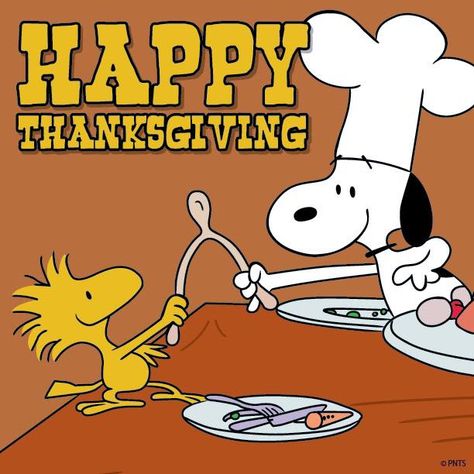 Snoopy and Woodstock. Happy Thanksgiving. Tattoo Hello Kitty, Thanksgiving Snoopy, Peanuts Thanksgiving, Happy Thanksgiving Pictures, Happy Thanksgiving Images, Charlie Brown Thanksgiving, Hello Kitty Imagenes, Thanksgiving Pictures, Kitty Pryde