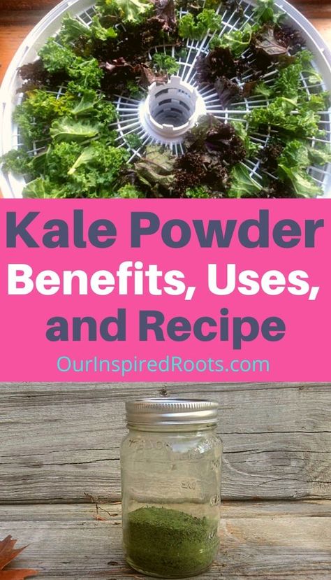 Dehydrated Powder Recipes, Dehydrating Kale In Dehydrator, Kale Preservation, Fermented Kale, What To Do With Kale, Dehydrated Kale, Vegetable Powders, Dehydrator Ideas, Spinach Powder