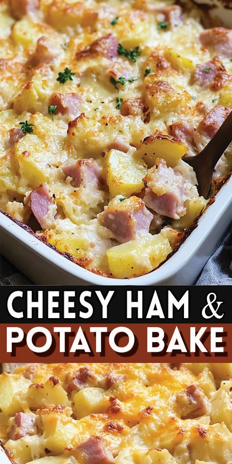 Cheesy Ham & Potato Bake Ingredients:  6 medium potatoes, peeled and cubed 2 cups cooked ham, diced 1 small onion, finely chopped 2 cups shredded cheddar cheese 1 can (10.75 oz) condensed cream of mushroom soup 1/2 cup sour cream Salt and pepper to taste 1/4 cup milk 1/2 teaspoon garlic powder 1/4 teaspoon paprika 1/4 cup breadcrumbs (optional for topping)  #easyrecipes Scalped Potatoes And Ham, Ham Potato Casserole, Ham And Potato Recipes, Ham Dinner Recipes, Ham And Potato Casserole, Side Dishes For Ham, Cooked Ham, Ham Dinner, Cheesy Ham