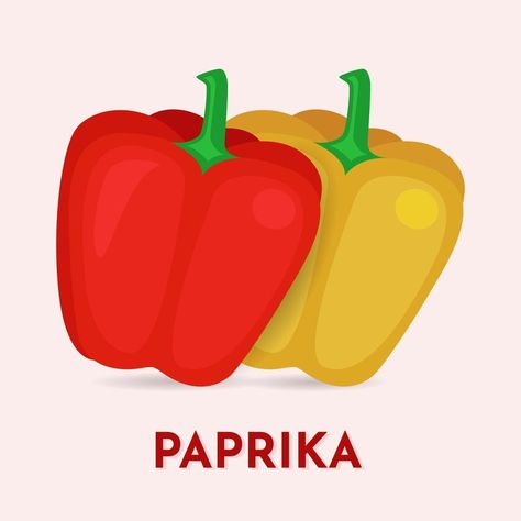 Paprika cartoon icon vector illustration. Hand drawn paprika illustration Vector paprika icon concept isolated. Paprika Illustration, Cartoon Icons, Illustration Vector, Vector Art, Hand Drawn, Vector Free, Vector Illustration, How To Draw Hands, For Free