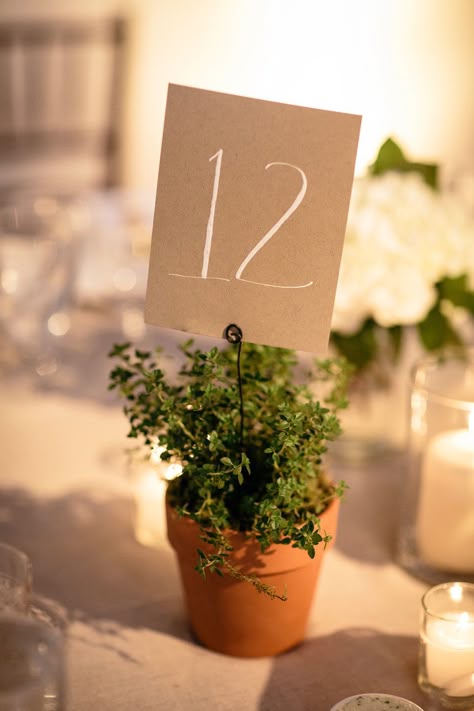 Fall Wedding Table Numbers, Herb Wedding, Fall Wedding Tables, Wedding Table Names, Plant Table, Event Planning Business, Small Potted Plants, Wedding Flower Arrangements, Wedding Table Numbers